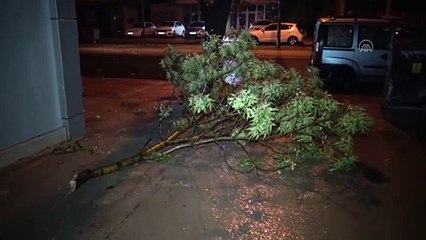 Tekirdağ'da sağanak nedeniyle bazı iş yerlerini su bastı