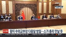 왕이 中 외교부장 내달 방일…스가 총리 만날 듯