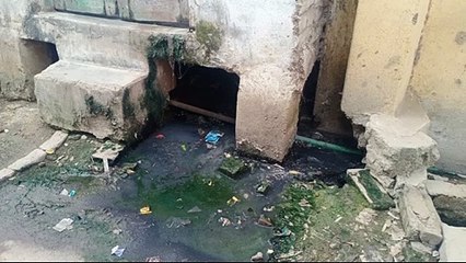 अधिकारियों से शिकायत करने के बाद भी नही लगा सफाई कर्मी