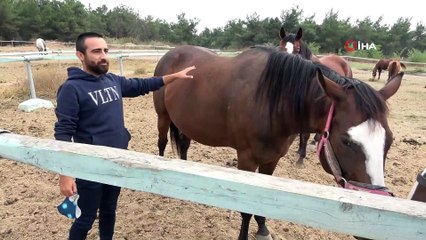 Bu üniversite yarış atı fabrikası gibi