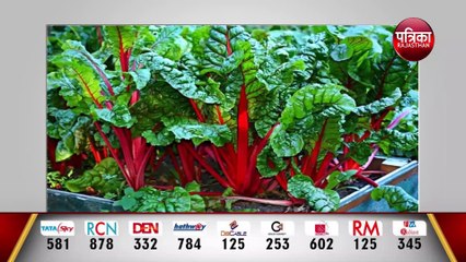 स्कूल में बनेंगे किचन गार्डन