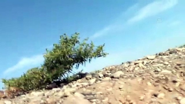 Ermenistan-Azerbaycan cephe hattında çatışmalar sürüyor - BAKÜ