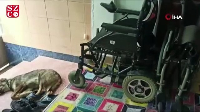 Bozulan akülü aracı için ilçe belediyesinden yardım istedi, aldığı cevap karşısında şoke oldu