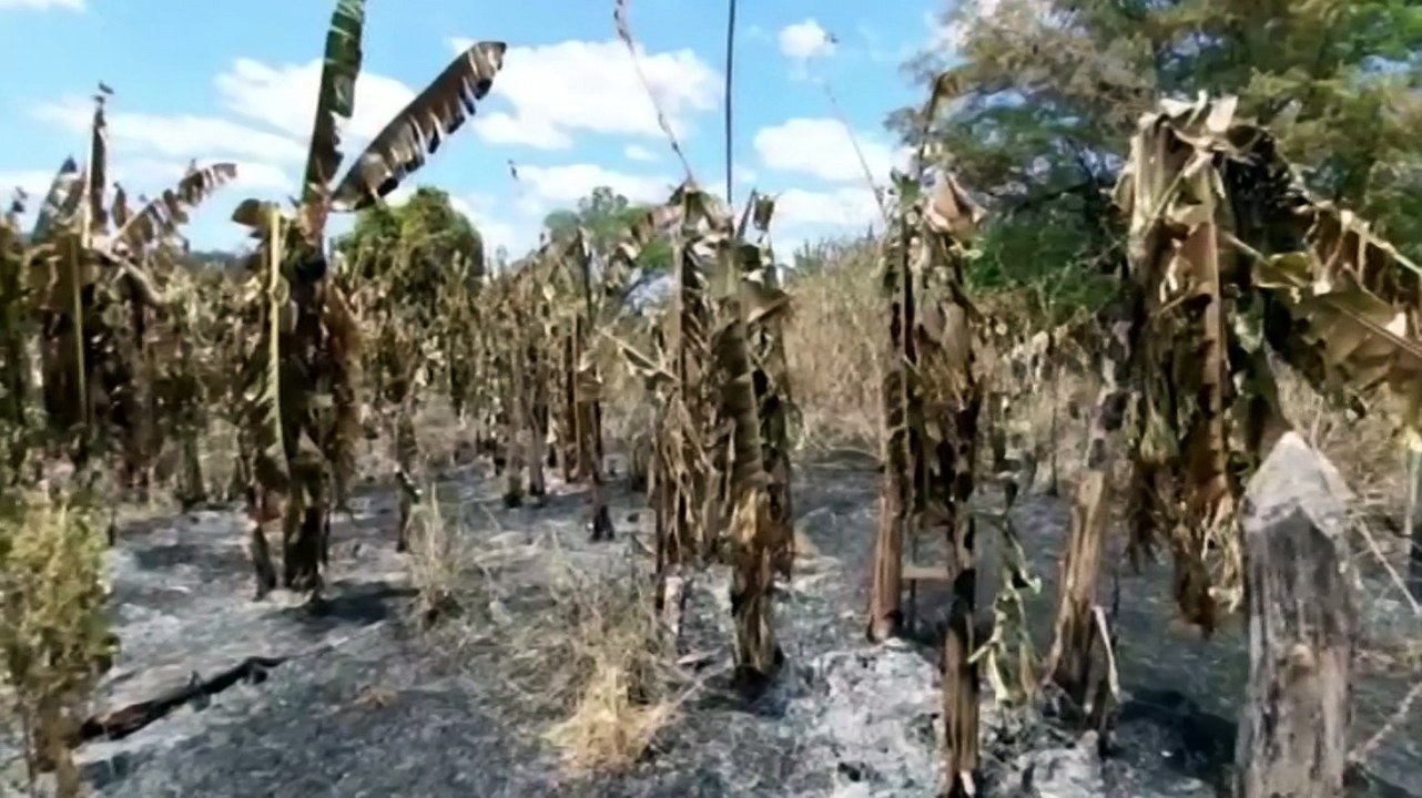 Setembro de 2020 já é o 3º com o maior número de queimadas em oito anos no Ceará