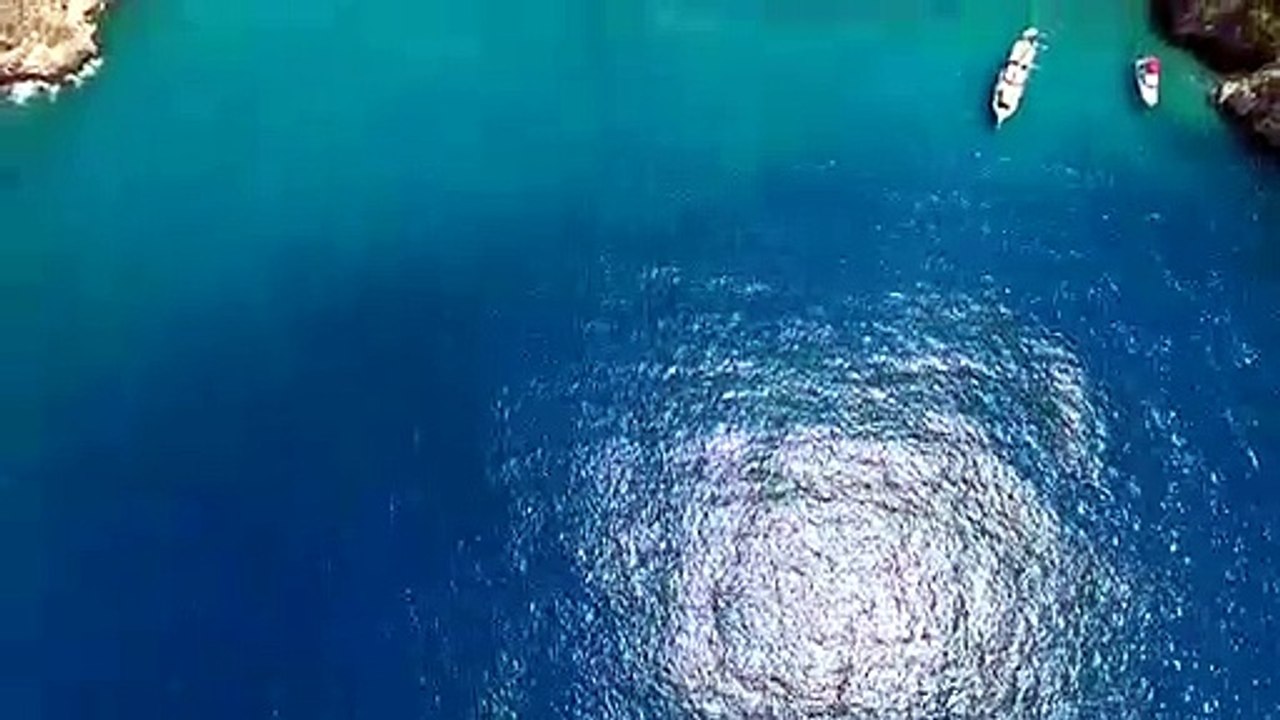 Amazing beach between rocky mountainsnatural beautiful royalty Free Stock no copyright video Free for commercial use dron dron aerial view