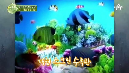 북한에서 떵떵거리며 살던 정호네가 한순간 위기에 빠진 이유는?