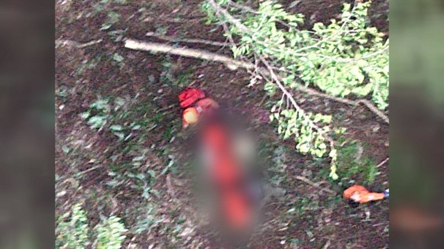 버섯 캐러 갔다가 실종된 50대 숨진채 발견 / YTN