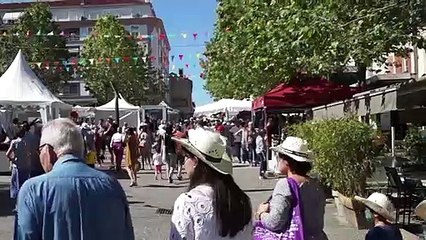 Fete Romans Caillettes et ravioles