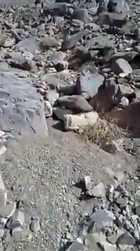 هذا هو المكان الذي عُثر فيه على الطفلة نعيمة الروحي