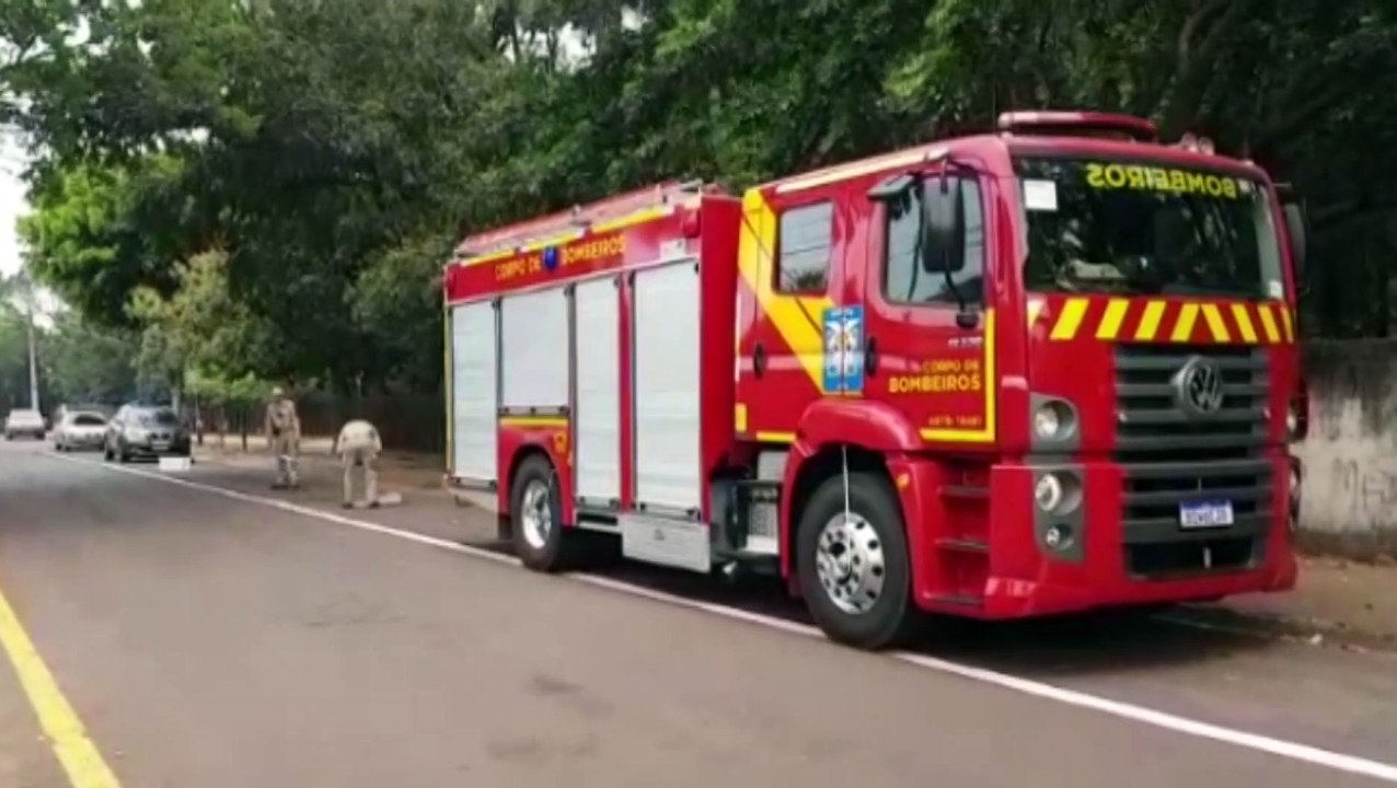 Bombeiros avaliam árvore incendiada que pode oferecer riscos à população