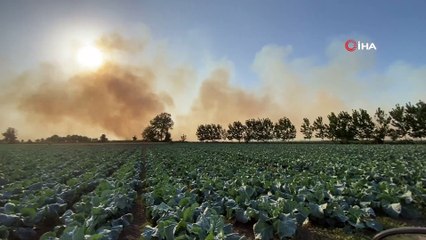 Sakarya’da anız yangını dumanları şehri kapladı