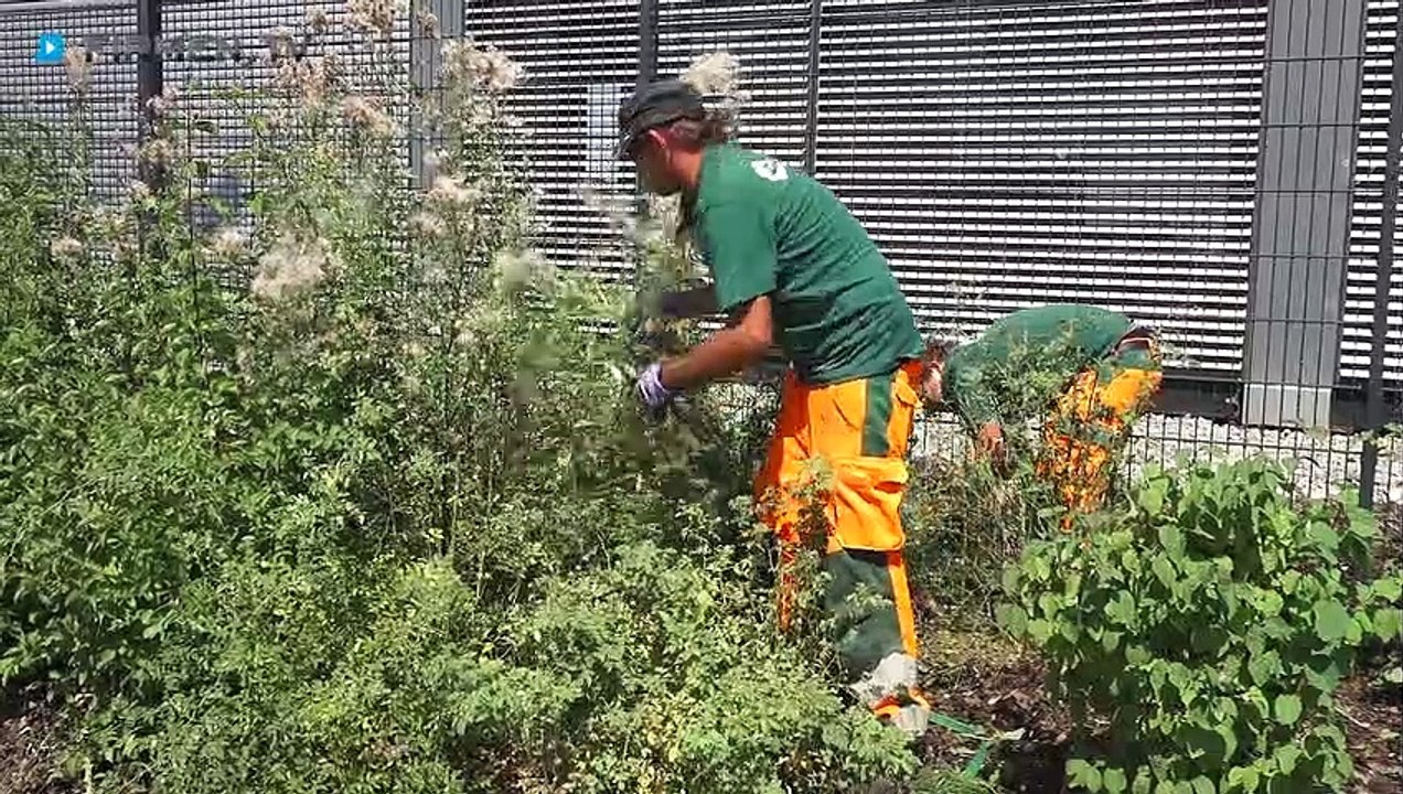 Reif Landschaftspflege in Aiterhofen – Neugestaltung und Pflege von Gärten sowie Außenanlagen