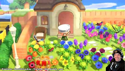Animal Crossing Island Tour