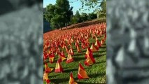 Un parque de Madrid amanece con 53.000 banderas de España en homenaje a los fallecidos