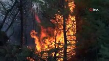 Tokat'taki yangındaki kundaklama şüphesi