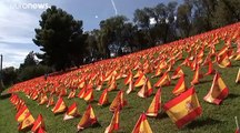 More than 50,000 Spanish flags placed in Madrid to honour COVID-19 victims