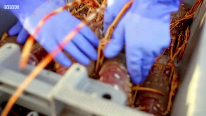 Cornwall This Fishing Life S01E06