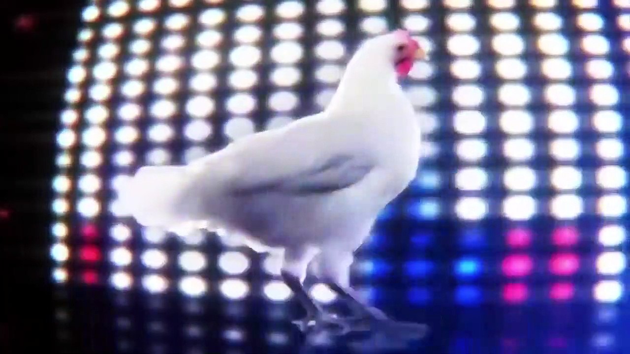 gallina cantante, electronica, Chicken Song
