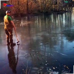 This man rescues a deer from a frozen lake