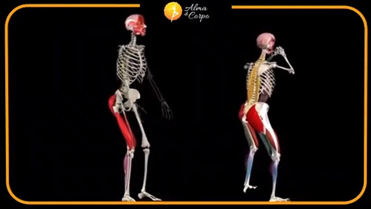 Agachamento / squats: Saiba como fazer