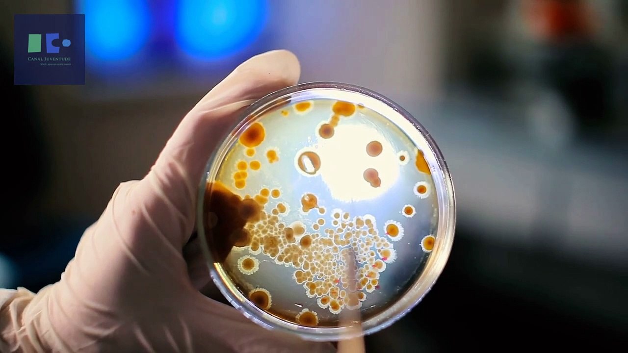 Microbioma_Podcast