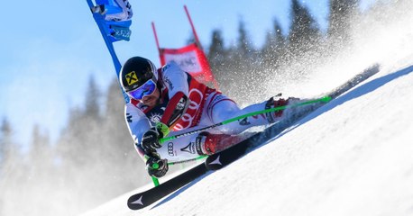 TAZ 8 Temporary Autonomy Zone (Ski)