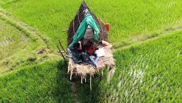 Taaron Ke Shehar Song: Neha Kakkar, Sunny Kaushal | Jubin Nautiyal,Jaani | Bhushan Kumar