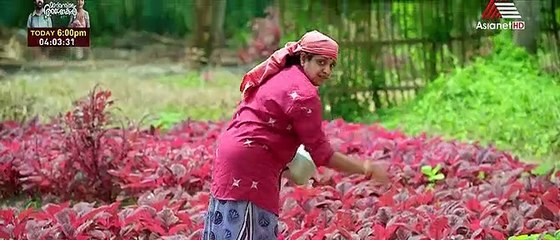 oru kaatil oru paykappal movie part 2