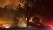 Wildfire erupts in California's Napa County emergency evacuations over