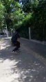 Skateboarder Accidentally Gets Hit by Scooter