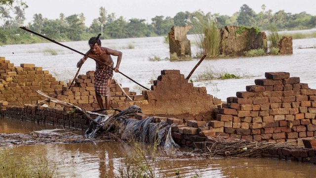 No signs of relief for Bihar from flood