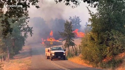 Video herunterladen: Numerous structures engulfed in flames as Zogg Fire sweeps through California towns of Ono and Igo