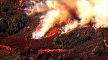 Un incendio está arrasando el condado de Napa, en California