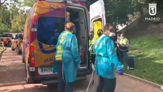 Herida grave una cuidadora del zoo de Madrid tras ser atacada por un gorila