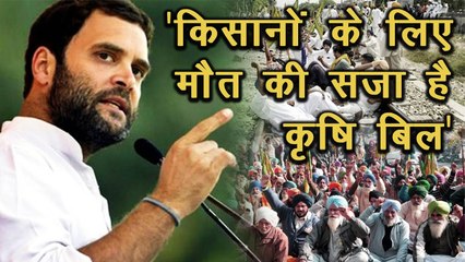 Rahul Gandhi ने Farm Law को बताया किसानों के लिए मौत की सजा और Delhi पहुंचा Farmers का आंदोलन