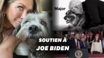 Jennifer Aniston et son chien ont choisi leur camp pour la présidentielle américaine
