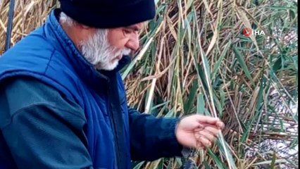 Tapulu tarım arazilerinde tekneyle balık tutuyorlar