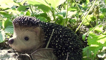 Enregistrement de La chanson de Martin, ambiances 1