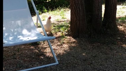 Enregistrement de La chanson de Martin - Ambiances 2