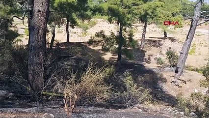Orman yangınına müdahale eden ekipler, yanmış erkek cesedi buldu
