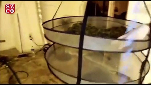 Uyuşturucu serasına dönüştürülen villaya narkotik baskını