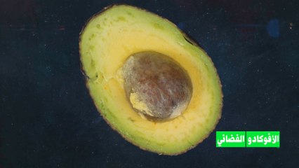 الأفوكادو ينضم إلى محاصيل الفضاء