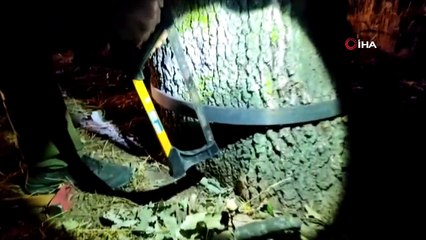 Edirne’de usulsüz avlanmayla mücadele...Mutfak tüpünden kaçak bıldırcın teybi çıktı