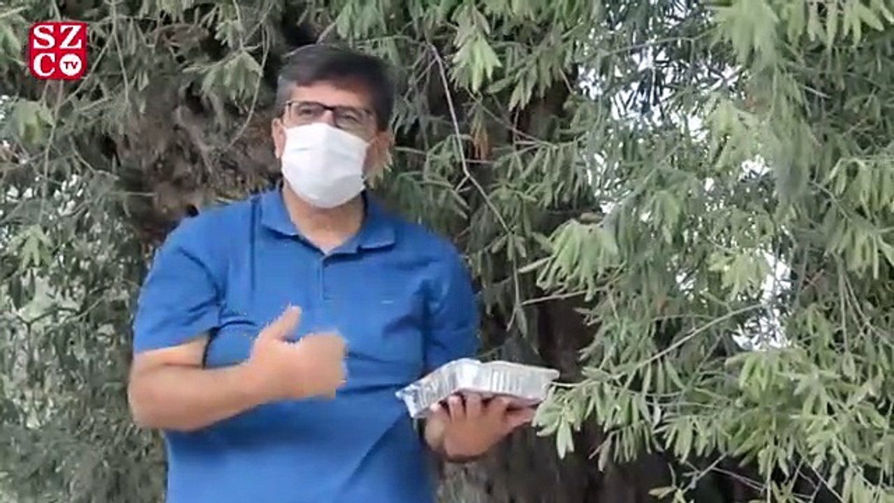 16 asırlık zeytin ağacı zamana meydan okuyor