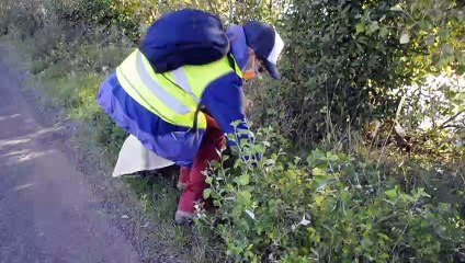 BESSAN - Nettoyage de la nature : Ils n’étaient pas nombreux, mais ils ont été très efficaces !