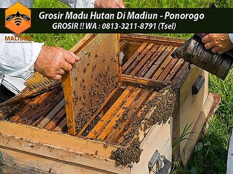 GROSIR !! WA : 0813-3211-8791 (Tsel)	Grosir Madu Sarang Murni Di Madiun Ponorogo By MALISSA,