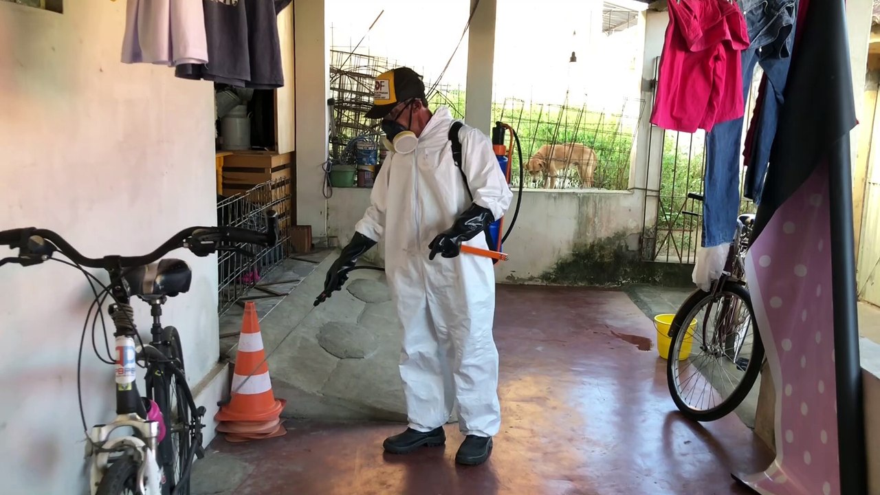 COMERCIAL E RESIDENCIAL: GOF DEDETIZAÇÃO E CONTROLE DE PRAGAS EM ITAMBÉ, PEDRAS DE FOGO E REGIÃO.