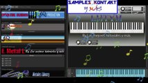 TANGO AE ACCORDION Virtual Musical Instrument – SAMPLES KONTAKT 5, KONTAKT 6