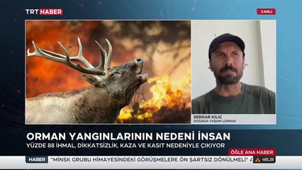 Kılıç: Orman yangınlarının nedeni genelde insan kaynaklı