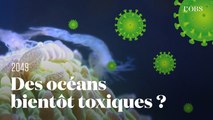 La prochaine épidémie mondiale viendra-t-elle de l’océan ? Les experts répondent